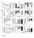 Fig. 07 - Methods and materials for obtaining induced pluripotent stem cells