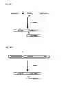 Fig. 06 - Degradable Clostridial toxins