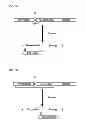 Fig. 08 - Degradable Clostridial toxins