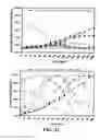 Fig. 15 - Single step liquefaction and saccharification of corn starch using an acidophilic, calcium independent and hyperthermophilic pullulanase