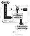 Fig. 02 - Metabolic transistor in bacteria
