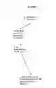 Fig. 04 - Biological methods for preparing adipic acid