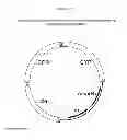 Fig. 08 - Biological methods for preparing adipic acid