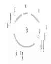 Fig. 32 - Biological methods for preparing adipic acid