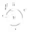 Fig. 48 - Biological methods for preparing adipic acid