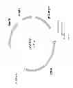 Fig. 55 - Biological methods for preparing adipic acid