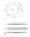 Fig. 63 - Biological methods for preparing adipic acid