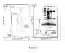 Fig. 08 - Purification of biological products by constrained cohydration chromatography