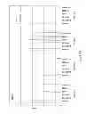 Fig. 34 - PEPTIDES AND METHODS FOR INDUCING CELL DEATH