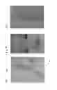 Fig. 08 - Enzymatic cleavage based lateral flow assays