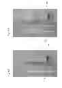 Fig. 09 - Enzymatic cleavage based lateral flow assays