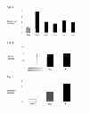 Fig. 03 - METHOD FOR PRODUCING MEGAKARYOCYTES AND/OR PLATELETS FROM PLURIPOTENT STEM CELLS