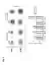 Fig. 09 - Cancer tissue-derived cell mass and a process for preparing same