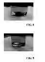 Fig. 08 - Methods and apparatus for building complex 3D scaffolds and biomimetic scaffolds built therefrom