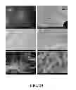 Fig. 14 - Methods and apparatus for building complex 3D scaffolds and biomimetic scaffolds built therefrom