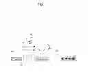Fig. 09 - Molecular Template and Method for Producing Same