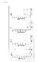 Fig. 08 - Method for measuring anti-WT1 antibody