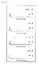 Fig. 09 - Method for measuring anti-WT1 antibody