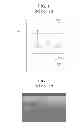 Fig. 02 - Organic light emitting display device and method for fabricating the same