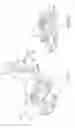Fig. 06 - Safety socket