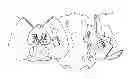 Fig. 01 - Plush toy with anatomical features containing storage compartments