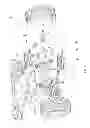Fig. 04 - SWING BUGGY TOY MODEL