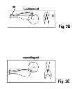 Fig. 07 - Method for removing blood released during filleting from the backbone of fish, and device for removing such blood