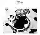 Fig. 06 - BLOWER AND VENTILATION SYSTEM