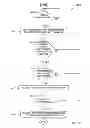 Fig. 17 - Media Data Transfer