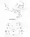 Fig. 02 - MULTIPOINT-TO-MULTIPOINT BASE STATION COMMUNICATION