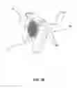 Fig. 34 - Functional Support System For Cellular Phone Or Related Devices