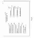 Fig. 02 - ADJUDICATION FOR CONTRACTUAL TERMS IN A VIDEO GAME