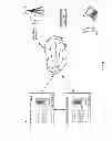 Fig. 08 - SERVER DATA UPDATE METHOD AND SYSTEM