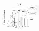Fig. 06 - Speed reducer