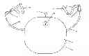 Fig. 01 - Exercise device and method of use