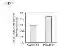 Fig. 08 - Catalyst for exhaust gas purification, and method for manufacturing same