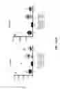 Fig. 22 - CIRCULATING BIOMARKERS FOR CANCER