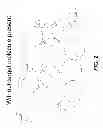 Fig. 03 - Affinity-based partition assay for detection of target molecules