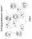 Fig. 05 - Affinity-based partition assay for detection of target molecules