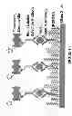 Fig. 02 - Detection and assay devices and methods of making and using the same