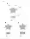 Fig. 02 - Encoded polymeric microparticles