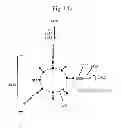 Fig. 22 - Polynucleotide barcode generation
