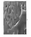 Fig. 06 - Self-suspending proppants for hydraulic fracturing