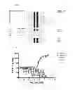 Fig. 02 - Peptide inhibitors of BACE1