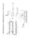 Fig. 05 - PARATHYROID HORMONE ANALOGS, COMPOSITIONS AND USES THEREOF