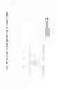 Fig. 20 - PARATHYROID HORMONE ANALOGS, COMPOSITIONS AND USES THEREOF