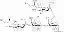Fig. 78 - PARATHYROID HORMONE ANALOGS, COMPOSITIONS AND USES THEREOF