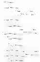 Fig. 79 - PARATHYROID HORMONE ANALOGS, COMPOSITIONS AND USES THEREOF