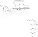 Fig. 52 - Method of modulating stress-activated protein kinase system