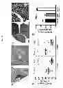 Fig. 32 - Methods and compositions for preventing and treating a disease related to glycan dysregulation